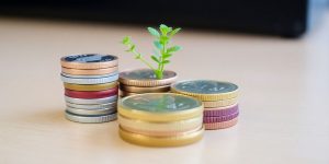 Colorful stacked coins and small green plant.